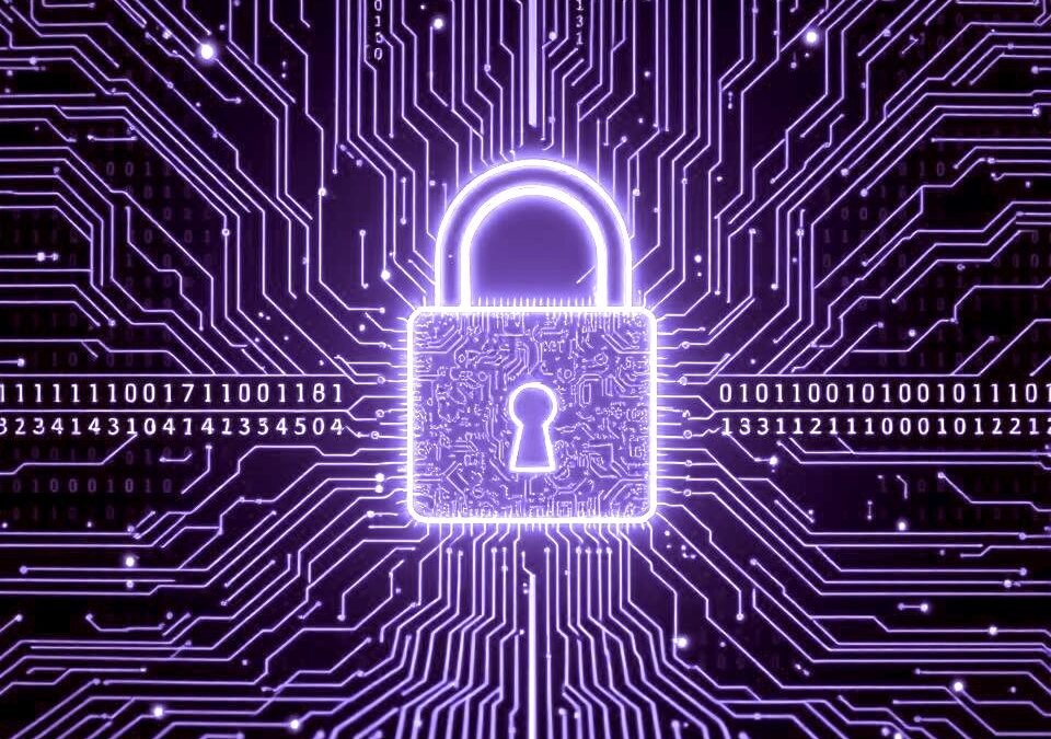 CyberSafeSchools Academy New Virtual Work Experience Progamme